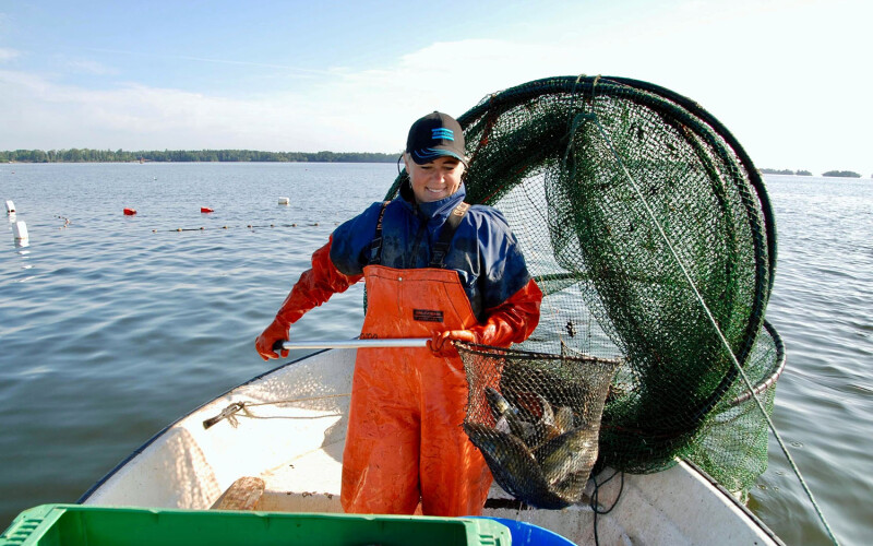 Woman fishing for pikeperch on Lake Hjalmaren